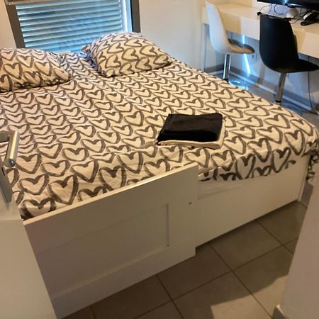 Superbe Appartement Avec Terrasse Toulouse Exterior photo